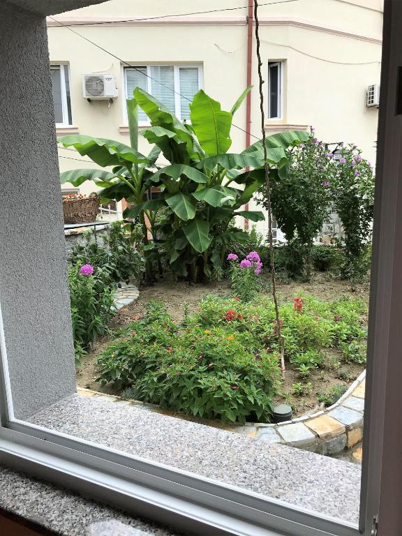 Villa Metulevi lush green garden