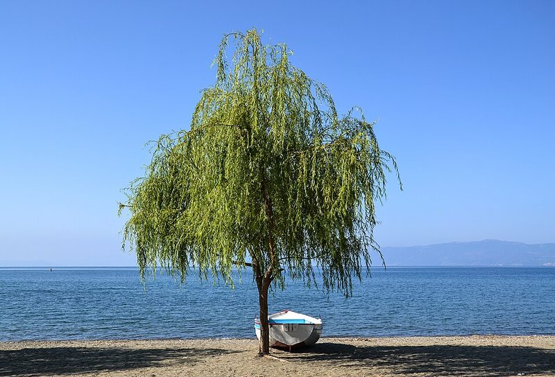 Crystal clear waters of Lake Ohrid at a sandy beach